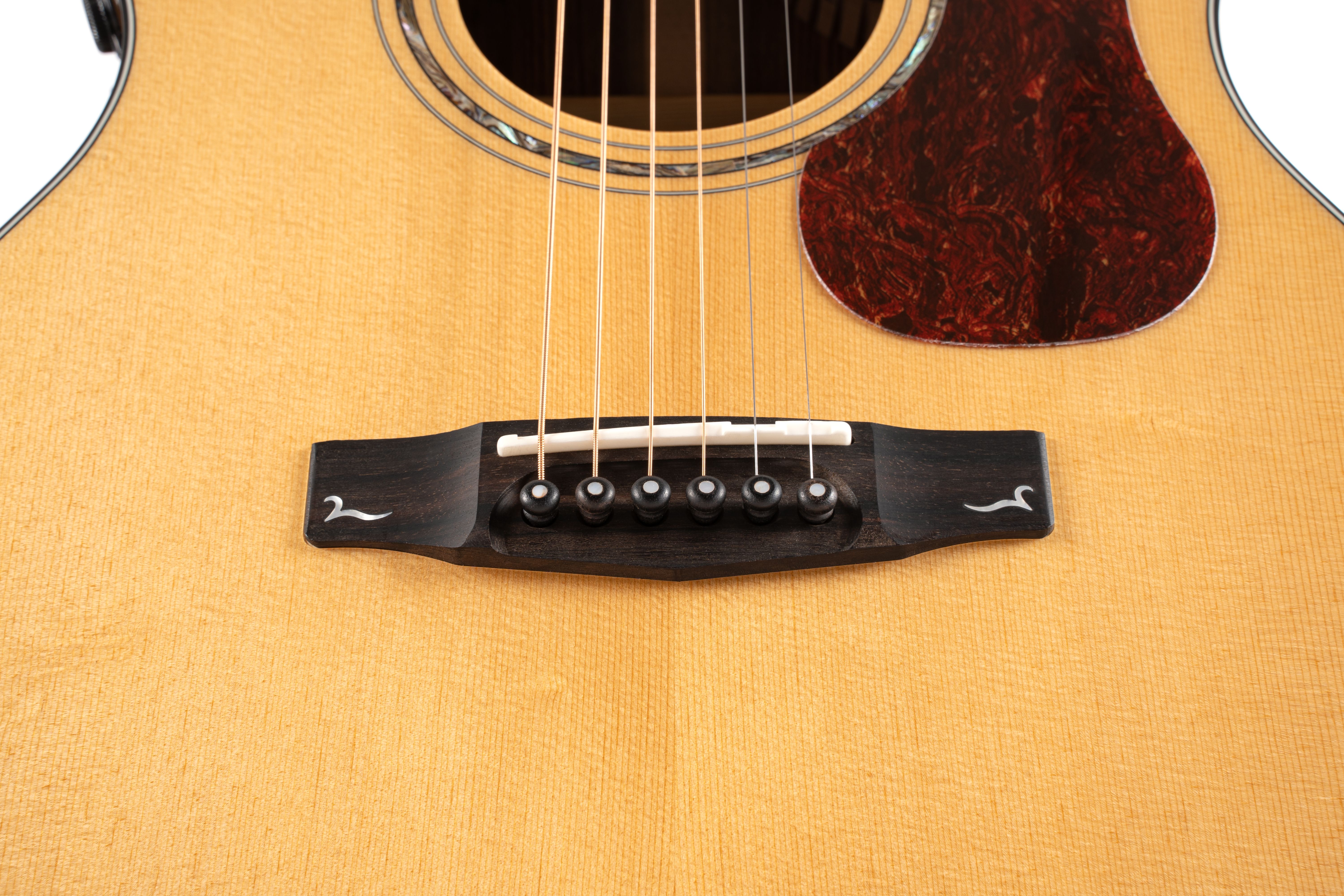 Cort Gold A6 Bocote elektroakustická kytara