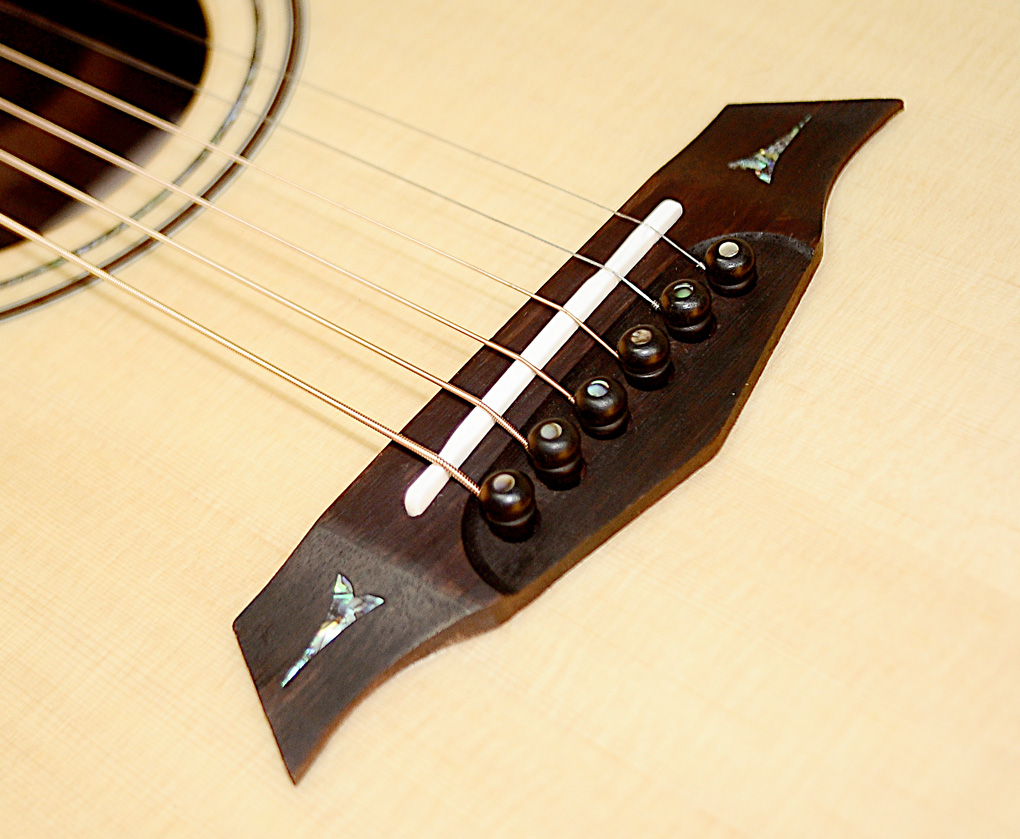 Parkwood PW860 elektroakustická kytara