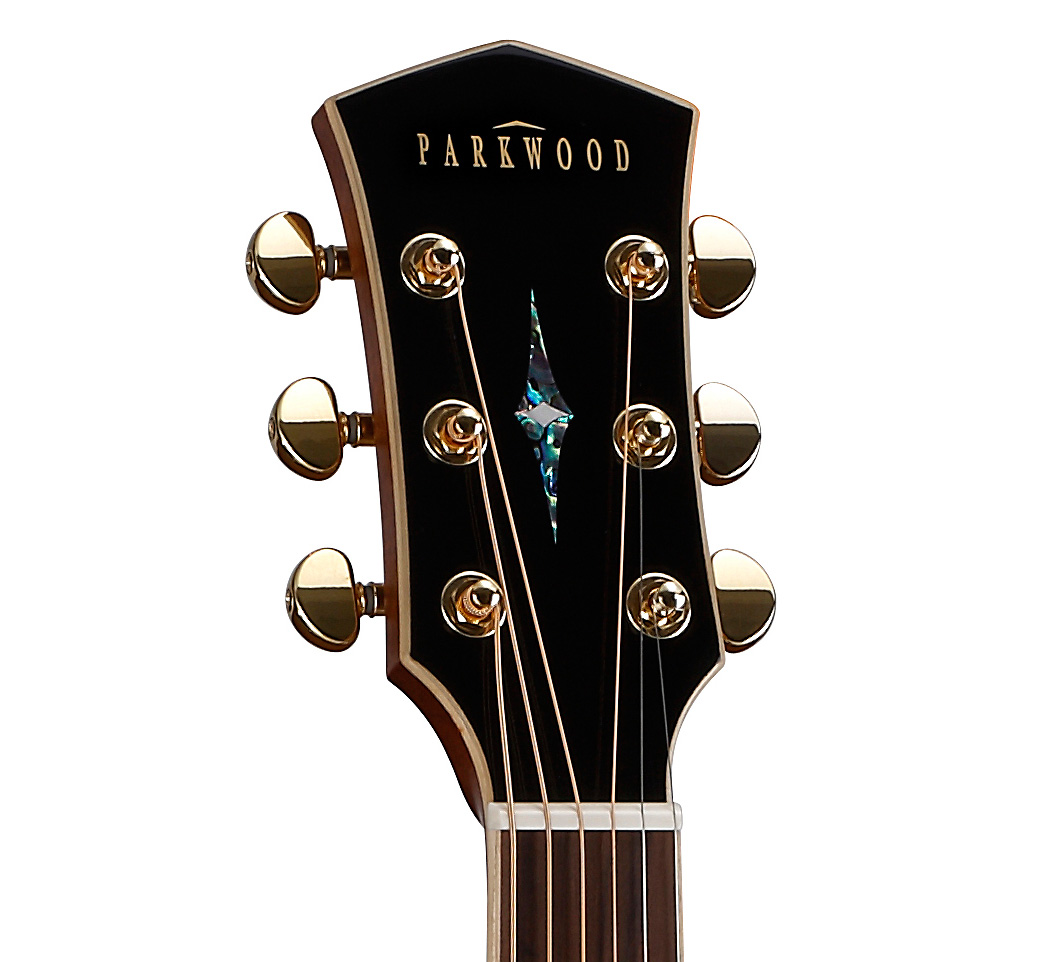 Parkwood PW860 elektroakustická kytara