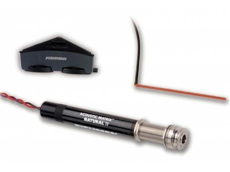Parkwood PW860 elektroakustická kytara