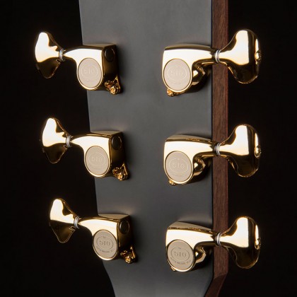 Cort Roselyn Limited Edition elektroakustická kytara