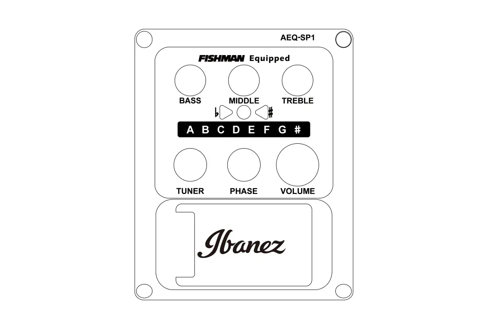Ibanez AEWC11-DVS elektroakustická kytara