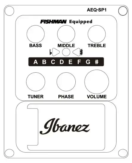 Ibanez AEWC13-WK elektroakustická kytara