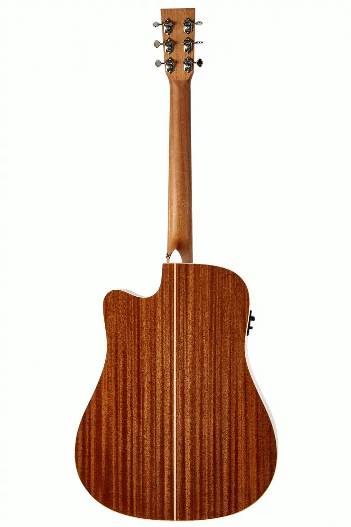 Tasman TA100-CE NT elektroakustická kytara