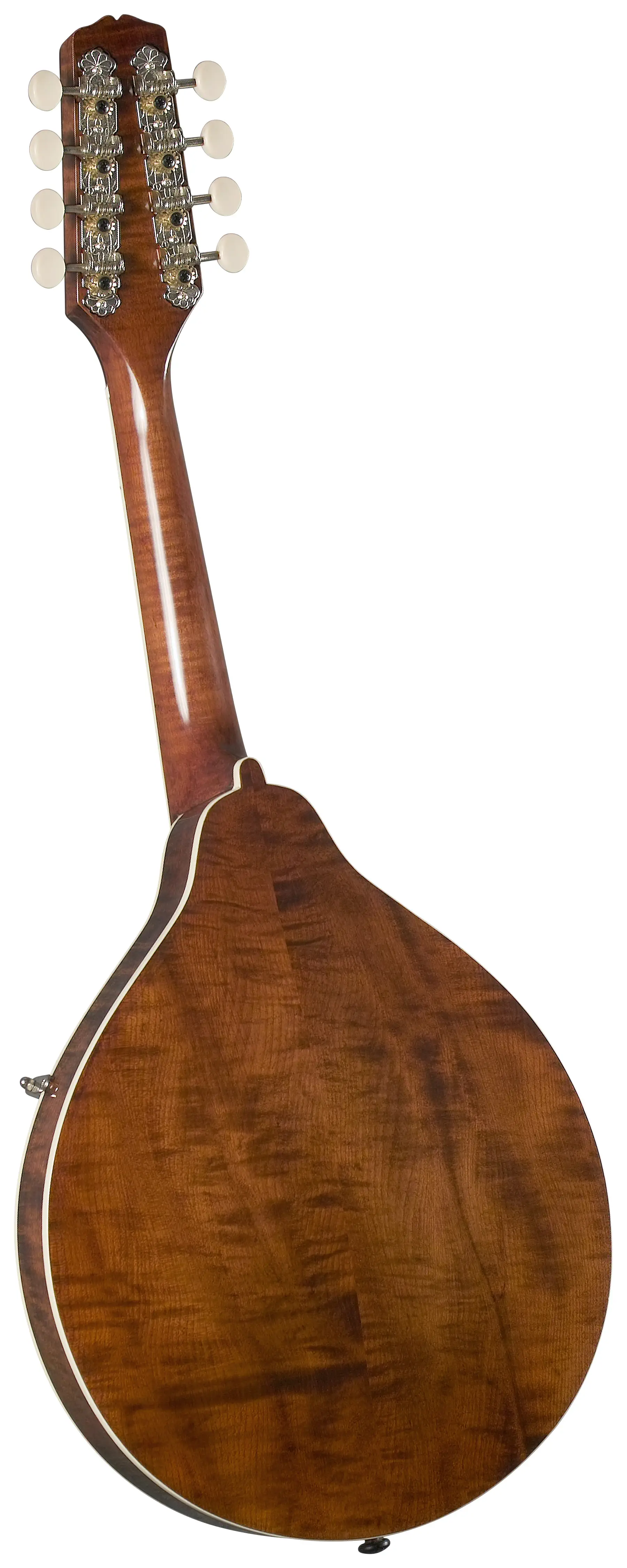 Kentucky KM-256 Mandolína
