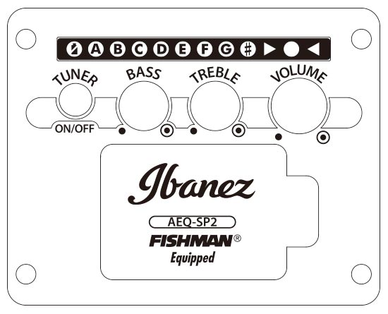 Ibanez AW65ECE-LG elektroakustická kytara