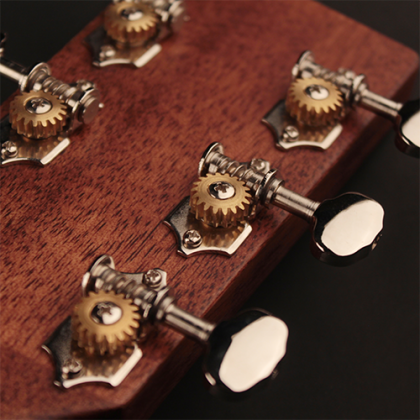 Cort Earth 80 NS akustická kytara