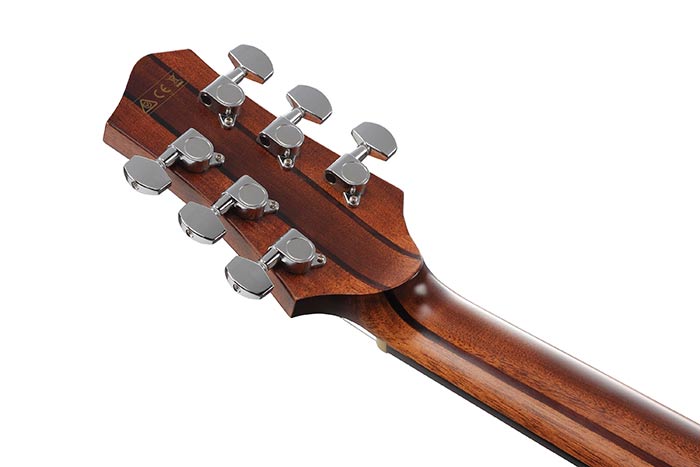 Ibanez PA230E-NSL elektroakustická kytara
