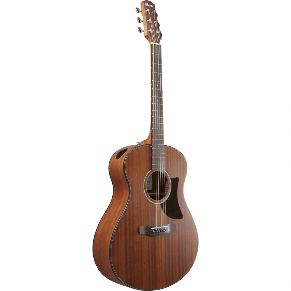 Ibanez AAM54 Open Pore Natural akustická kytara
