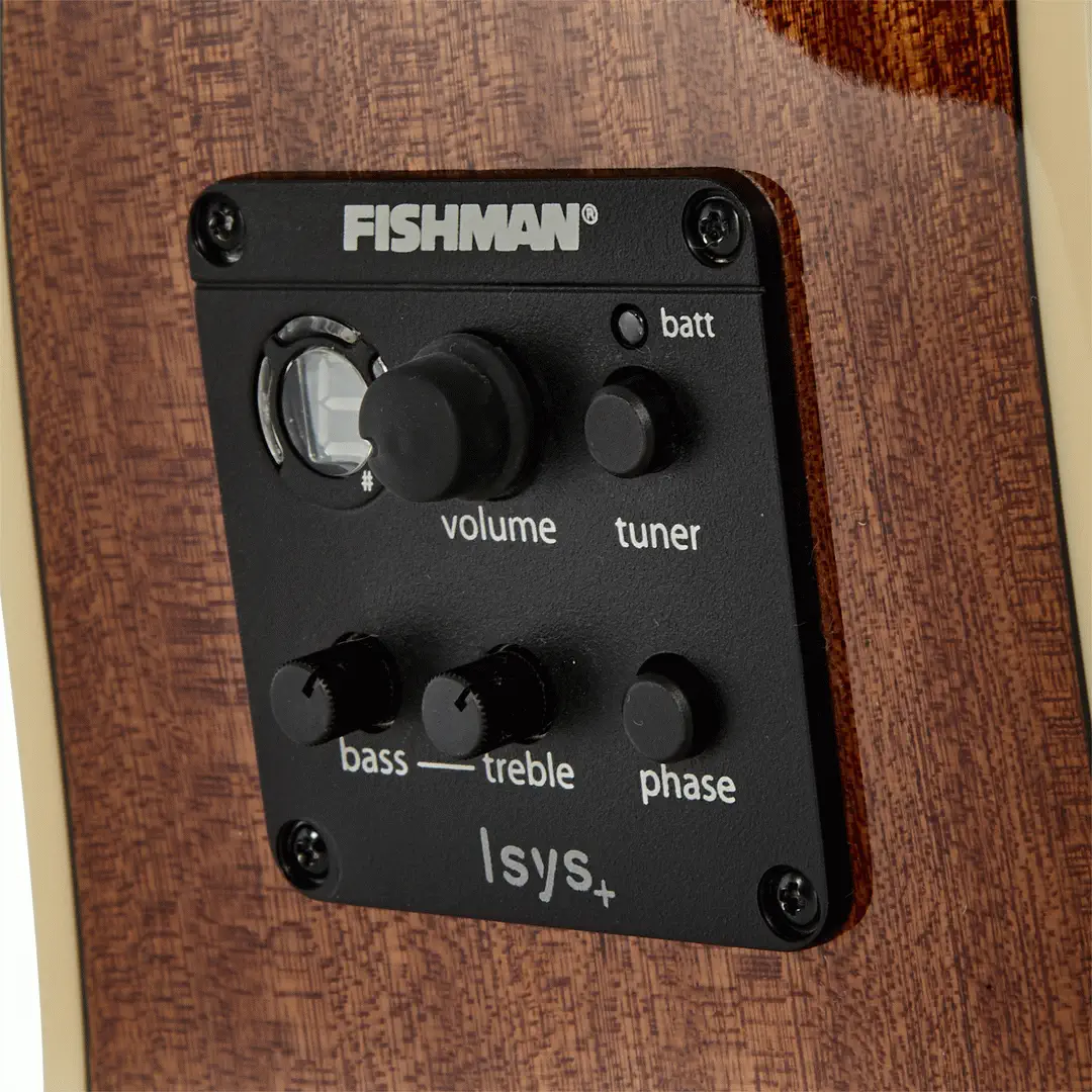 Tasman TA100-CE NT elektroakustická kytara