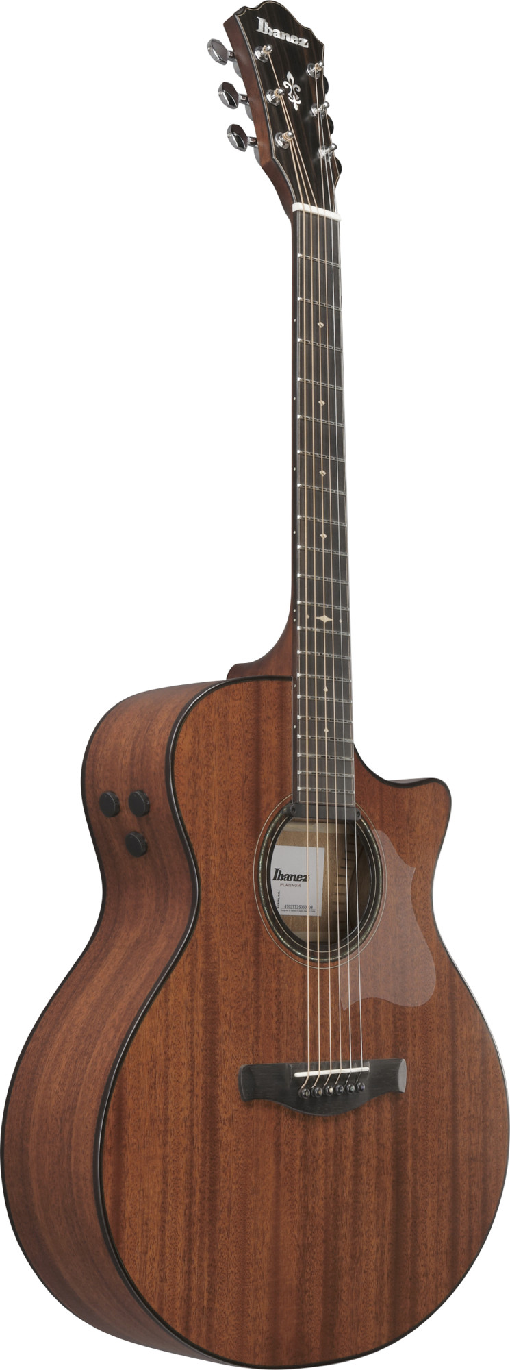 Ibanez AE440-LGS Platinum Collection elektroakustická kytara