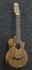 Ibanez EWP14WB-OPN kytarové ukulele