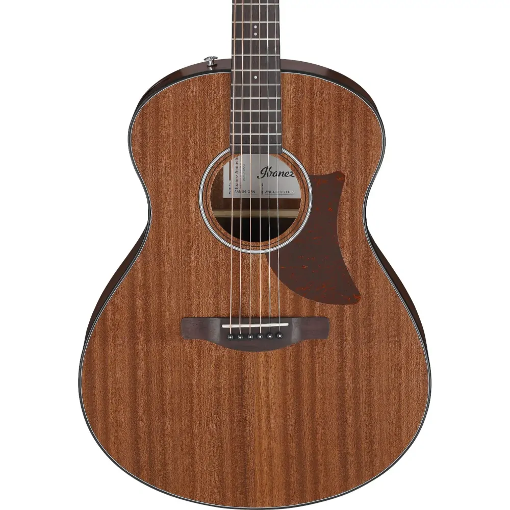 Ibanez AAM54 Open Pore Natural akustická kytara