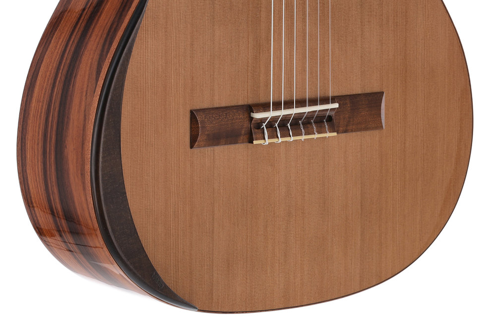 Manuel Rodriguez ACADEMIA EX-SC Santos Pavo Real klasická kytara