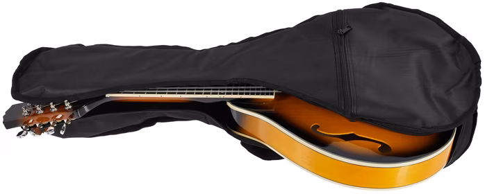Soundsation BMA-50 VS Mandolína