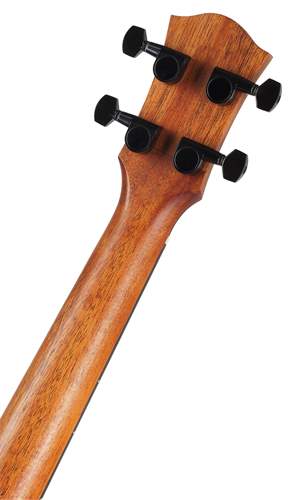 Cascha HH 2310 All Solid Concert Acacia