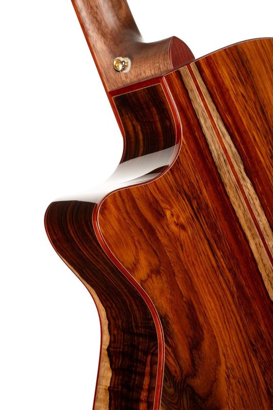 Cort Gold-A10 Cocobolo elektroakustická kytara B-Stock