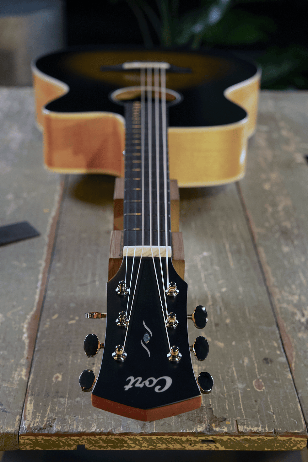 Cort Core-OC Maple elektroakustická kytara