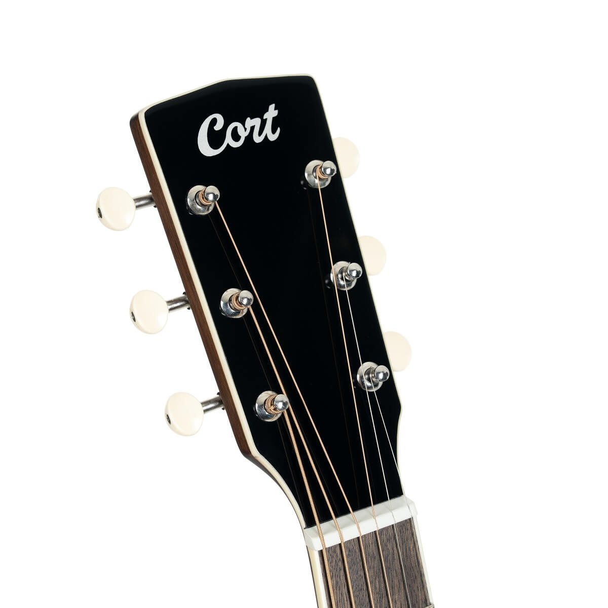 Cort Exotic-GA Walnut elektroakustická kytara
