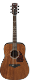Ibanez AW54-OPN akustická kytara