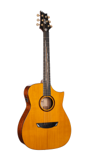 Cort LUXE II Frank Gambale Signature elektroakustická kytara