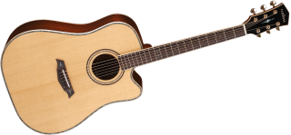 Parkwood PW860 elektroakustická kytara