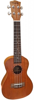FZone FZU-110C koncertní ukulele