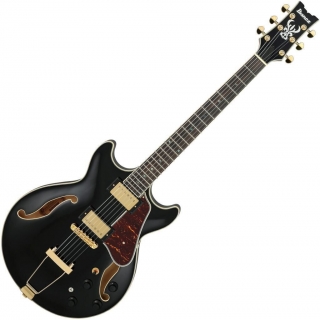 Ibanez AMH90-BK elektrická kytara