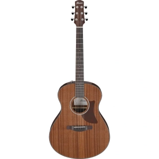 Ibanez AAM54 Open Pore Natural akustická kytara