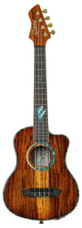 Ortega RUHZ30TH-DO tenorové elektroakustické ukulele