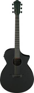 Ibanez AEWC621 Black Out elektroakustická kytara
