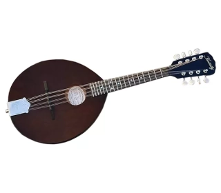 Kentucky KM-120 Army-Navy Special Mandolína