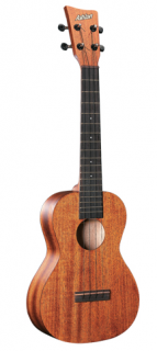 Ashton UKE 200 MH sopránové ukulele
